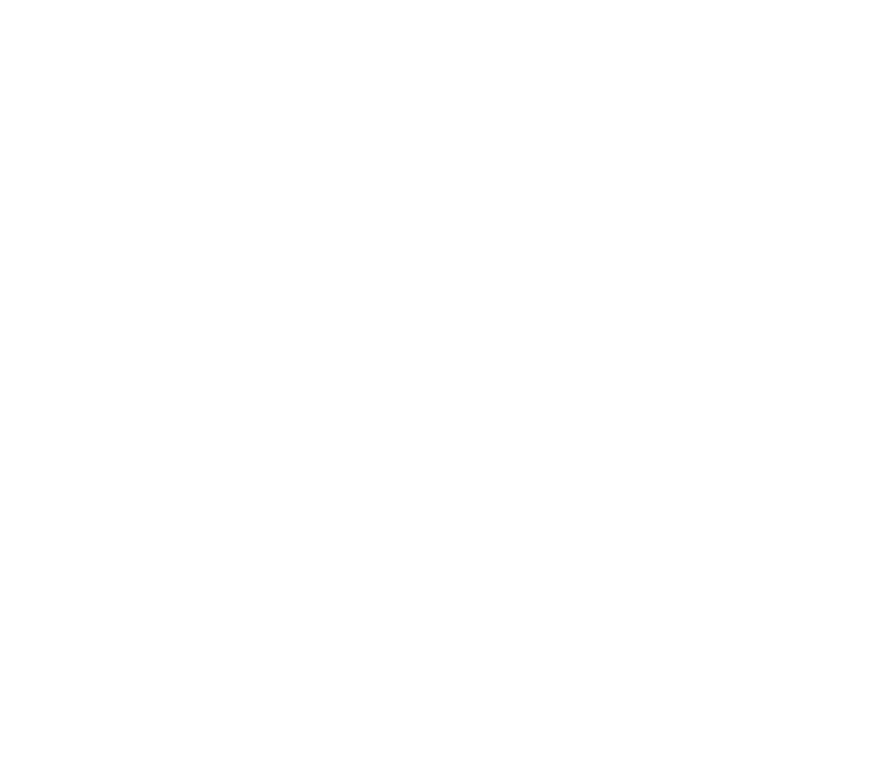 TSL logo - white - strap - small